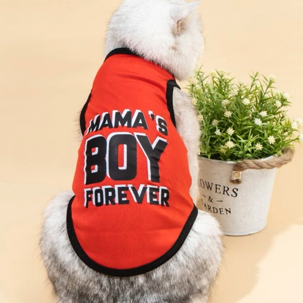 Letter graphic pet tank